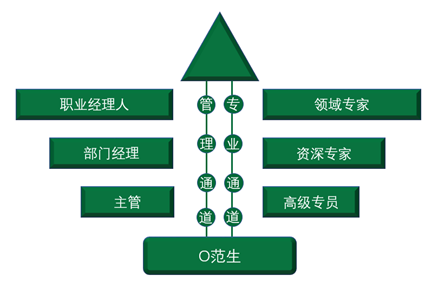 1603348206333420.png image.png